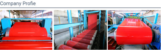 Carrete de acero pre-pintado a medida 0,12 mm-6,0 mm Hoja de acero galvanizado pre-pintado