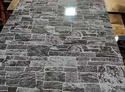 ISO 9001 Fabricantes de bobinas de acero prepintadas para construcción / decoración